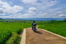 Lokasi Ubud-nya Wonogiri, Hamparan Sawah yang Indah Berlatar Pegunungan