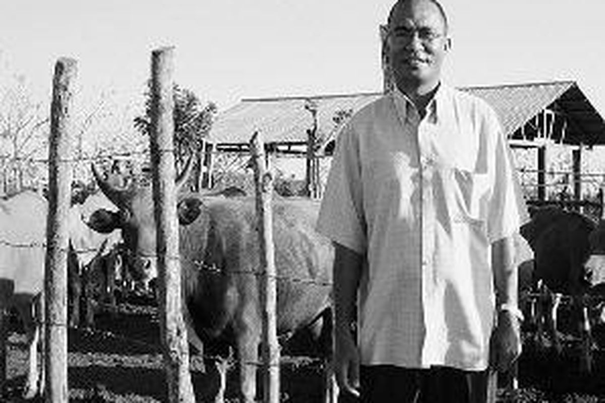 Rektor Rumah Biara Karmel Pater Damianus Leang Lengari OCD di peternakan sapi yang dikembangkan di Kampung Maronggela, Nusa Tenggara Timur, Sabtu (19/9). Persoalan baru jika populasi meningkat adalah ketersediaan pakan ternak.