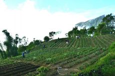 Pesona Pemo, Desa Penyangga di Kawasan Danau Kelimutu