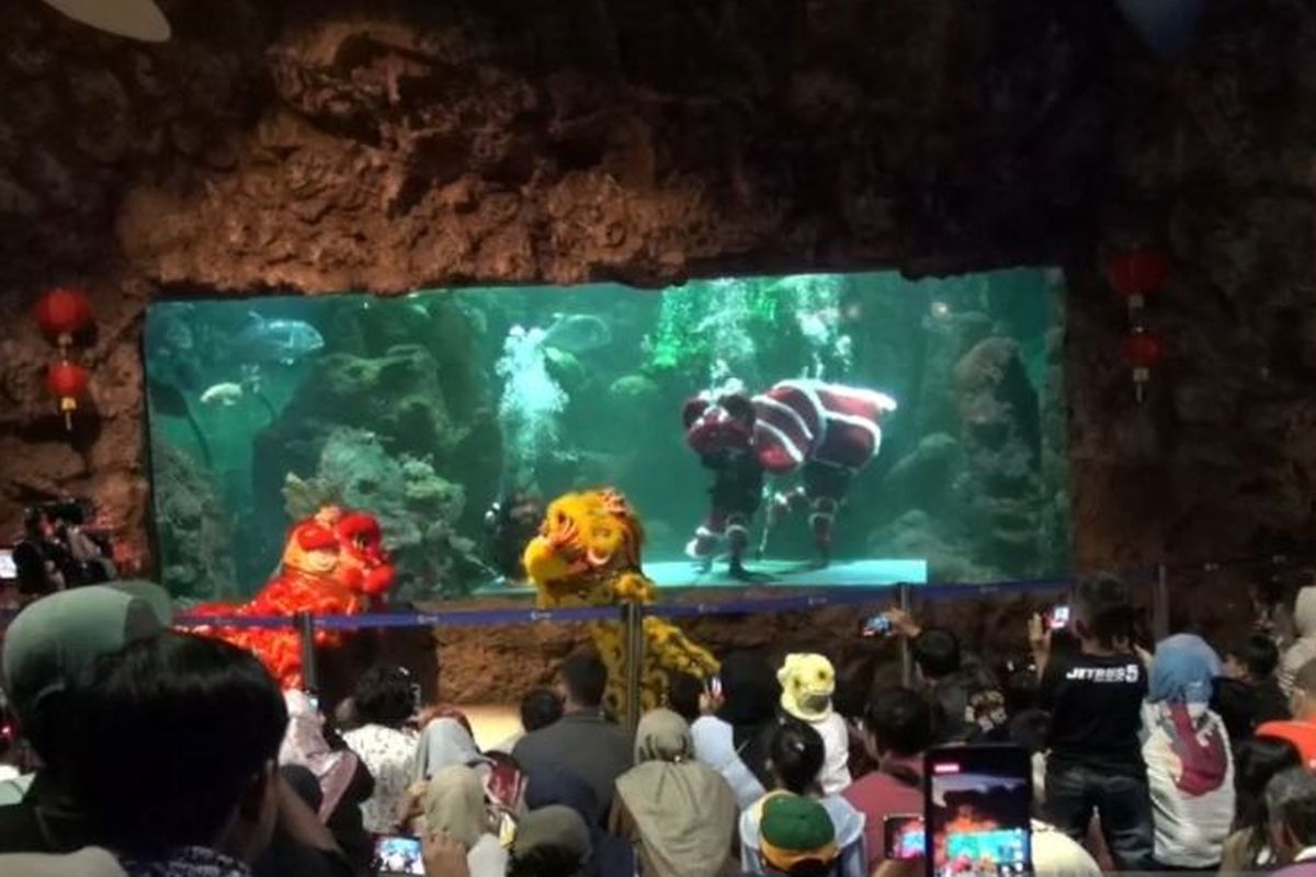 Pengunjung Sea World Ancol menikmati pertunjukan barongsai dan dragon bawah air pada acara Ancol Lunar Fest dalam rangka libur Imlek di Jakarta, Kamis (8/2/2024). 