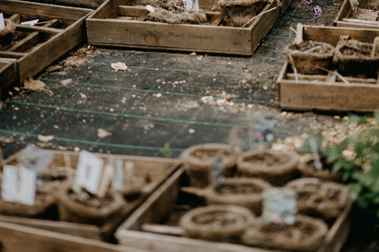 Setibanya tanaman di tempat tujuan, lakukan repotting agar tanaman lekas mendapat asupan gizi yang mereka butuhkan.