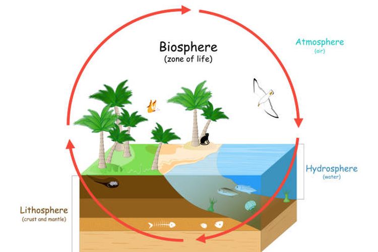 Ilustrasi pengertian, asal-usul, dan fungsi biosfer.