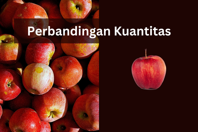 Soal dan Jawaban Perbandingan Kuantitas
