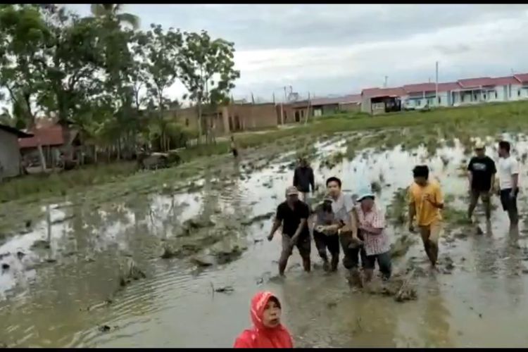 Sengketa Lahan, 2 Kelompok Warga Bergulat di Tengah Lahan Persawahan *** Local Caption *** Sengketa Lahan, 2 Kelompok Warga Bergulat di Tengah Lahan Persawahan