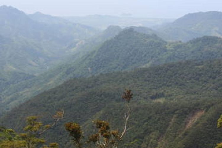 Mount Hamiguitan Range Wildlife Sanctuary di Filipina