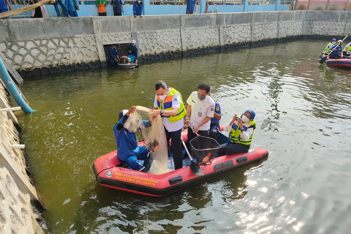 Wali Kota Jakarta Pusat, Dhany Sukma  saat memanen ikan di Embung Pangeran Jayakarta, Rabu (6/10/2021) 