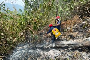 Karhutla di Maros-Pangkep Sempat Dekati Lukisan Gua Prasejarah, Titik Api Masih Dipantau