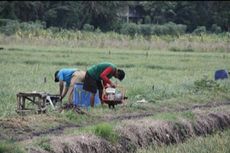 Sejalan dengan Program Kementan, Susi Pudjiastuti Ajak Pemuda Indonesia untuk Bertani