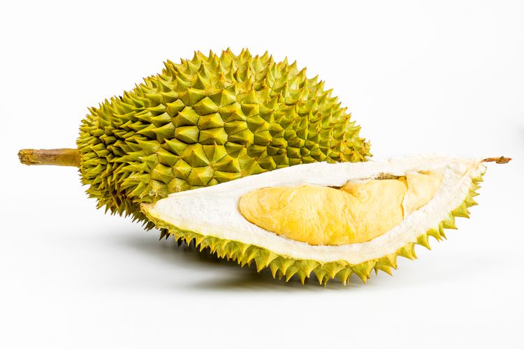 Ilustrasi durian kanyao dari Thailand.