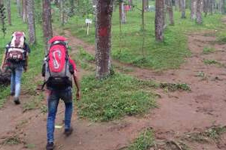 Pendaki melewati jalur Bumi Perkemahan Batu Kuda di Desa Cibiru Wetan, Kecamatan Cileunyi, Kabupaten Bandung, Jawa Barat, Sabtu (21/5/2016) pagi untuk menuju Puncak Gunung Manglayang (1.818 mdpl).