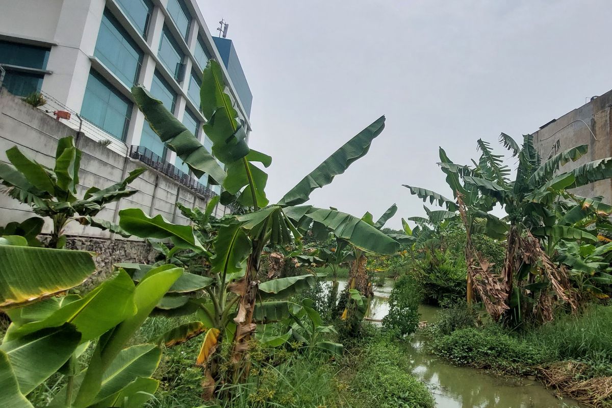 Sebuah empang di samping gedung rumah sakit di Kalideres, diduga menjadi lokasi adegan asusila anak di dalam empang di kawasan Kalideres, Jakarta Barat, pada Minggu (9/10/2022).