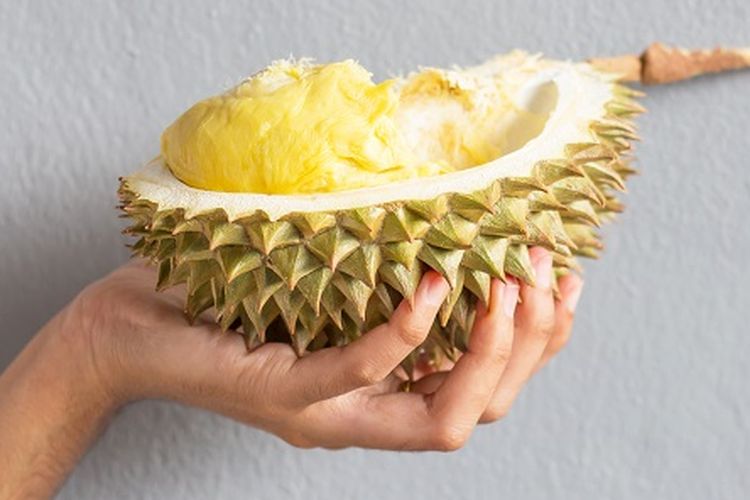 Ilustrasi durian.