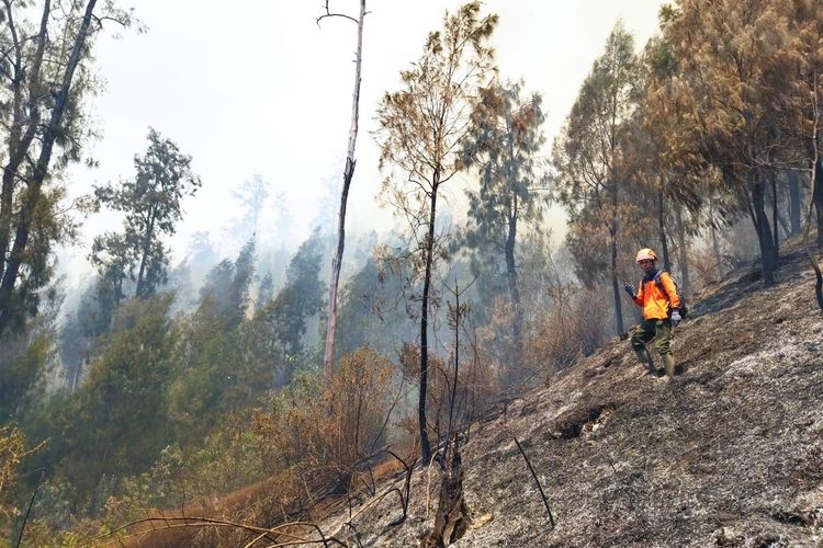 Kebakaran Gunung Buthak-Kawinajang Meluas, Mencapai 478 Hektare