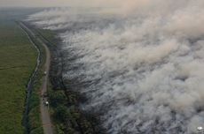 Dapat Kiriman Kabut Asap dari Indonesia, Malaysia Rencanakan Hujan Buatan