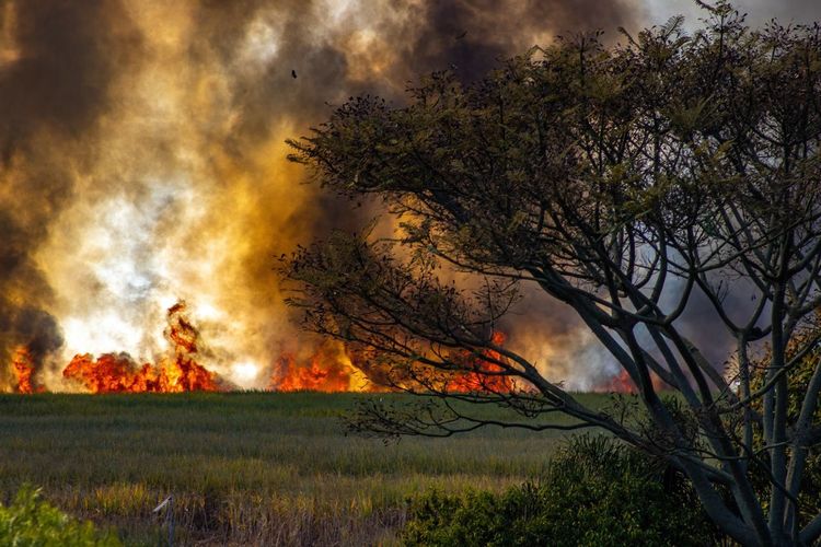 Paparan Polusi Udara, Ancaman Stroke dan Stunting di Depan Mata