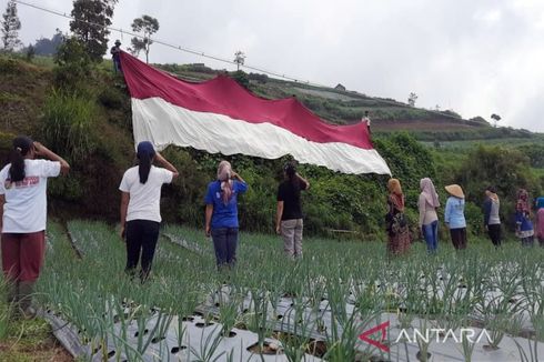 HUT RI Ke-77, Puluhan Petani Lereng Merbabu Kibarkan Bendera Merah Putih Raksasa di Sawah