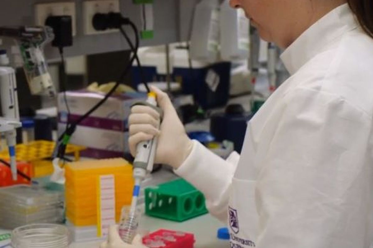 Seorang peneliti di University of Queensland bekerja mengembangkan vaksin Covid-19 pada Maret 2020.
