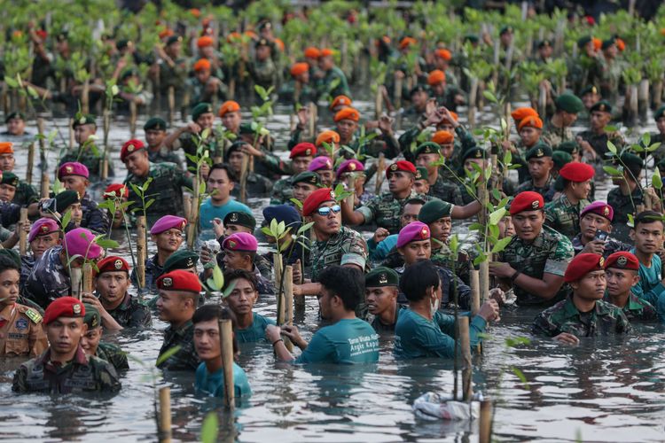 Anggota TNI, polisi, dan pramuka saat melaksanakan acara puncak penanaman mangrove serentak seluruh Indonesia yang digelar Tentara Nasional Indonesia di Taman Wisata Alam Kapuk Angke, Jakarta, Senin (15/5/2023).