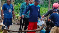 Damkar Surabaya Catat Evakuasi 2.306 Insiden di 2025, Terbanyak Hewan