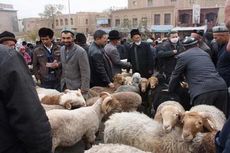 Muslim China Sambut Idul Adha, Harga Domba Hampir Rp 5 Juta