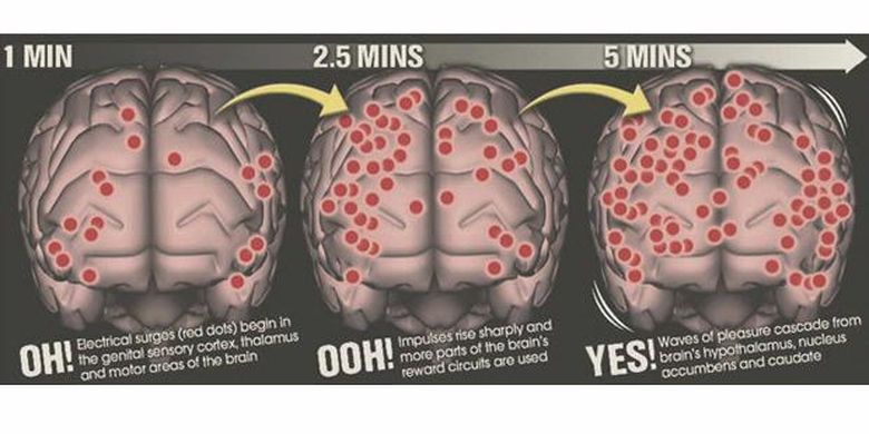 Wanita Alami Dua Jenis Orgasme