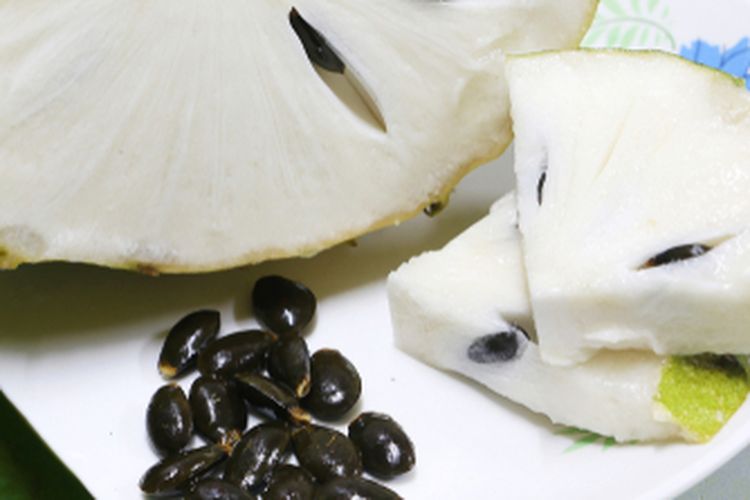 Ilustrasi biji sirsak yang siap ditanam