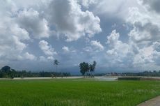 183 Hektar Sawah di Aceh Utara Terendam Banjir, Sebagian Besar Bakal Gagal Panen