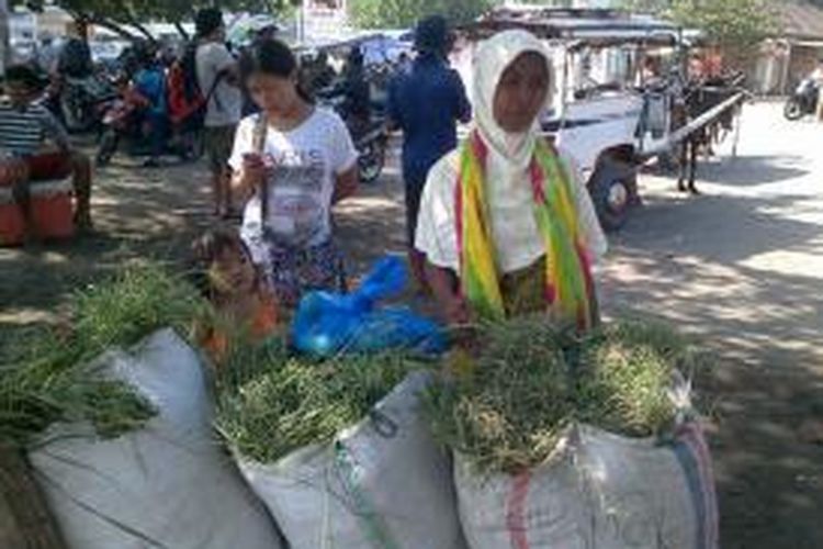 Inaq Hasmah yang sehari-hari bekerja sebagai penyabit rumput, Selasa (8/7/2014), sedang menjaga karung-karung rumput miliknya.