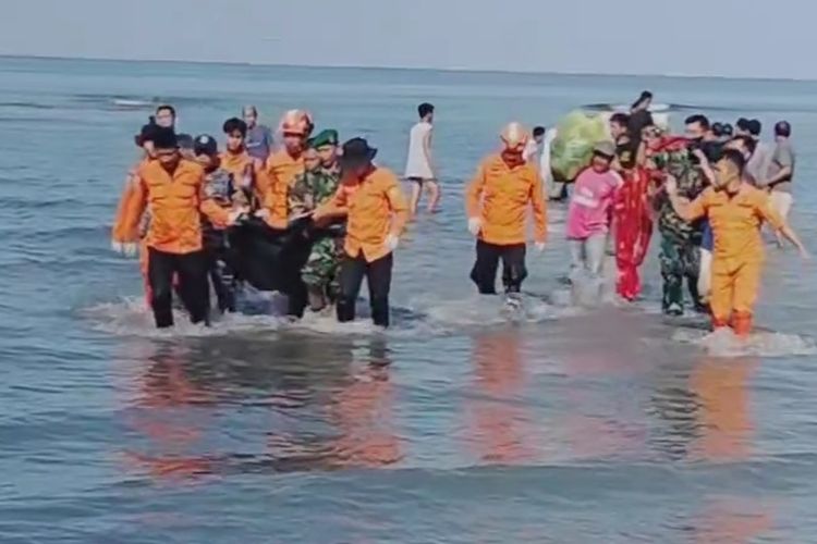 Jenazah penumpang KM Bigetron GT-6 yang tenggelam di perairan saat dievakuasi tim gabungan Basarnas, Polri,dan TNI di Pantai Sumare Mamuju, Sulawesi Barat, Kamis (21/112/2023).
