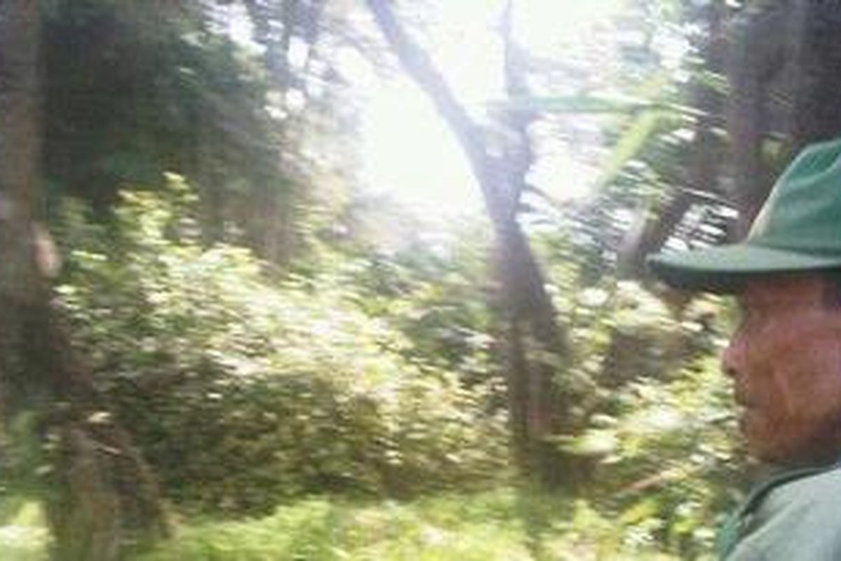 Nyoman Minta si pengendara sepeda yang melintas di depan Presiden Susilo Bambang Yudhoyono saat pembukaan ASEAN Fair di Nusa Dua, Senin (24/10).