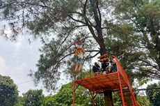 Panduan Wisata ke Rivera Outbound & Edutainment di Bogor