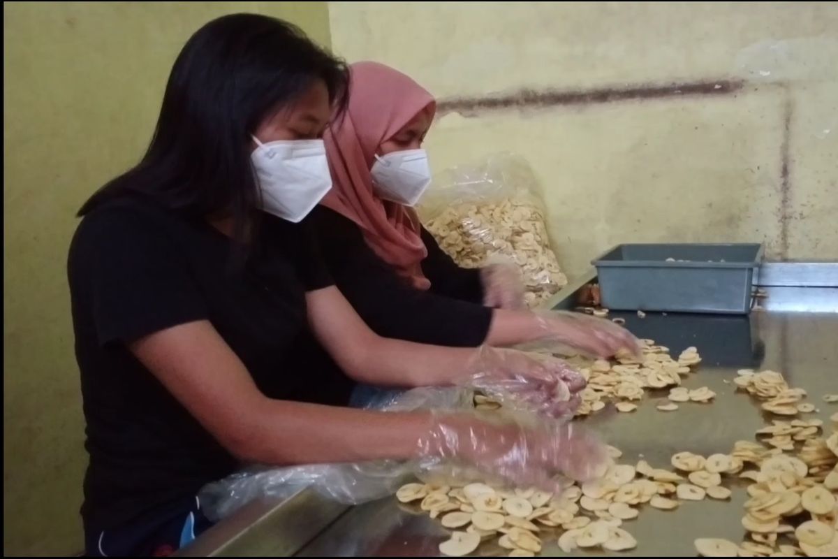 Beberapa pegawai Kendedes Selecta Fruit sedang melakukan penyortiran kualitas keripik yang hendak dijual.