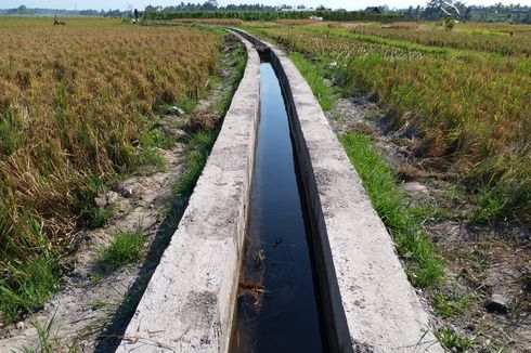 Para Petani di Desa Girimukti Tak Takut Lagi akan Kemarau