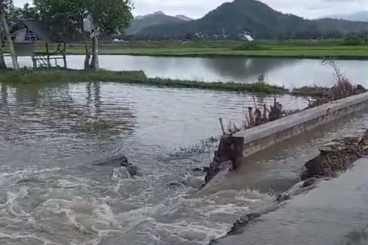 129 Hektar Sawah di Dompu Terendam Banjir