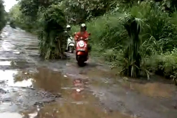 Pengendara sepeda motor melintas di antara pohon pisang yang ditanam warga di jalan rusak berlubang di Dusun Jajagan, Desa Jugo, Kecamatan Kesamben, Kabupaten Blitar, Senin (27/1/2025)