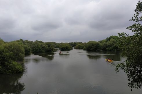 Kini Pengunjung TWA Mangrove Angke Kapuk Boleh Bawa Kamera