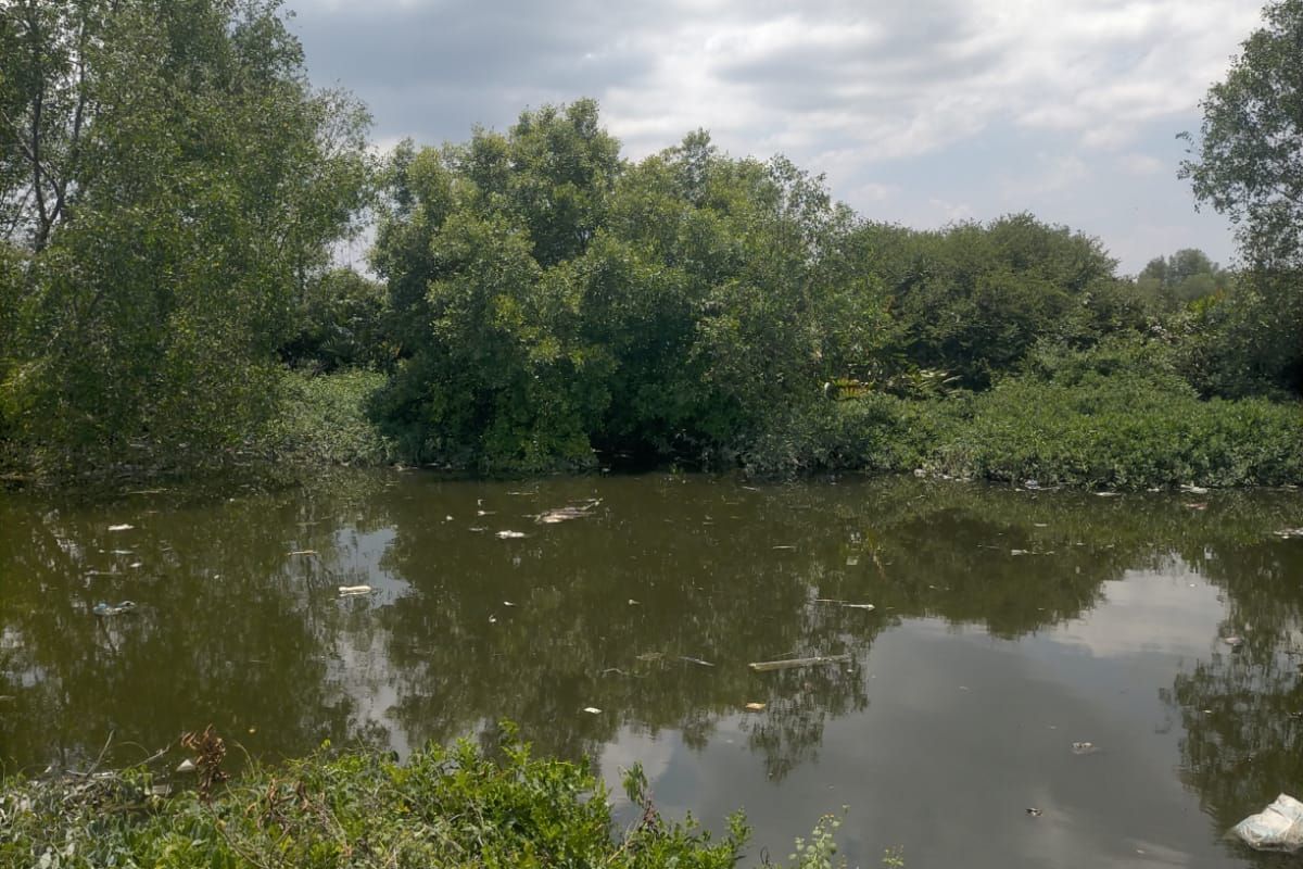 Lokasi penampakan buaya muara di Sungai Petakal, Kecamatan Medan Labuhan, Kota Medan, Kamis (18/4/2024)