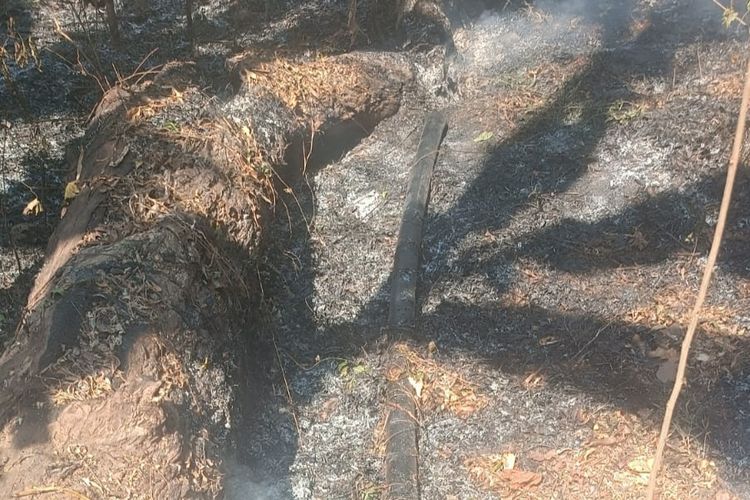 Saluran pipa air minum di dalam kawasan hutan lindung Egon Ilinmedo terbakar, Kamis (19/10/2023)