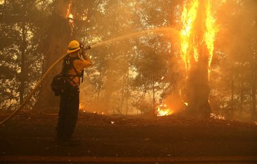 Seorang petugas pemadam kebakaran menembakkan air ke pohon yang terbakar ketika dia berjuang memadamkan Api Kincade yang menyebabkan kebakaran hutan di California pada 27 Oktober 2019. Disokong oleh angin kencang, kebakaran tersebut menghanguskan 12.000 hektar dan 180.000 pengungsi harus mengungsi.