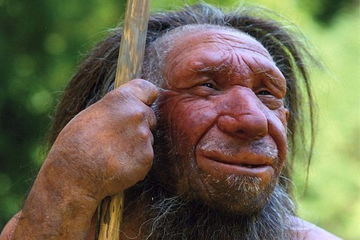Rekonstruksi manusia Neanderthal.