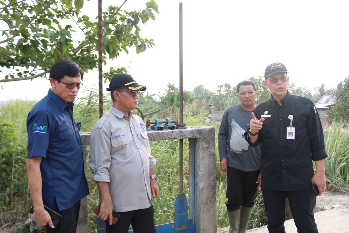 Kementan optimalkan penggunaan lahan rawa tadah hujan di Kabupaten OKI, Sumsel.