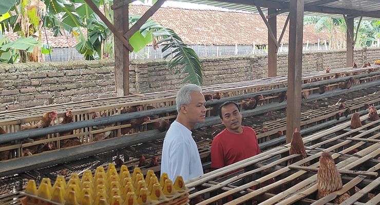 Dialog dengan Peternak Ayam Petelur di Magetan, Ganjar Terima Keluhan soal Tingginya Harga Jagung