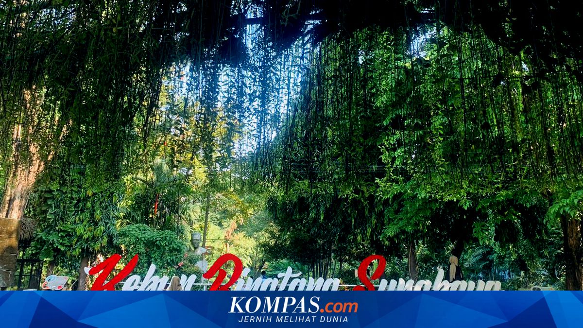 Kebun Binatang Surabaya Suguhkan Banyak Aktivitas Seru Saat Libur Sekolah