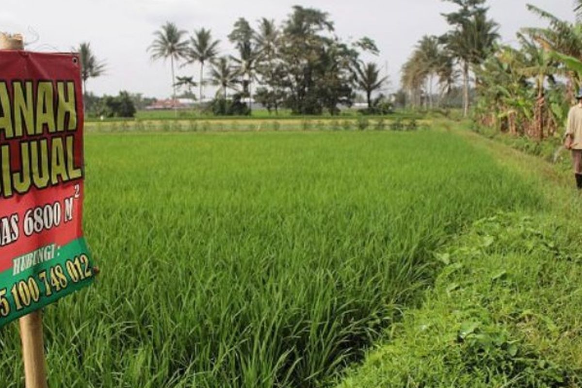 Sektor pertanian Indonesia terus terancam dengan kian menyusutnya jumlah lahan dan jumlah petani. Generasi muda enggan terjun di bidang pertanian. Pemerintah perlu membuat kebijakan strategis untuk menyelamatkan pertanian Tanah Air. Tampak salah satu sawah yang ditawarkan untuk dijual di Desa Ampeldento, Kecamatan Pakis, Kabupaten Malang, Jawa Timur, Rabu (22/2/2017).