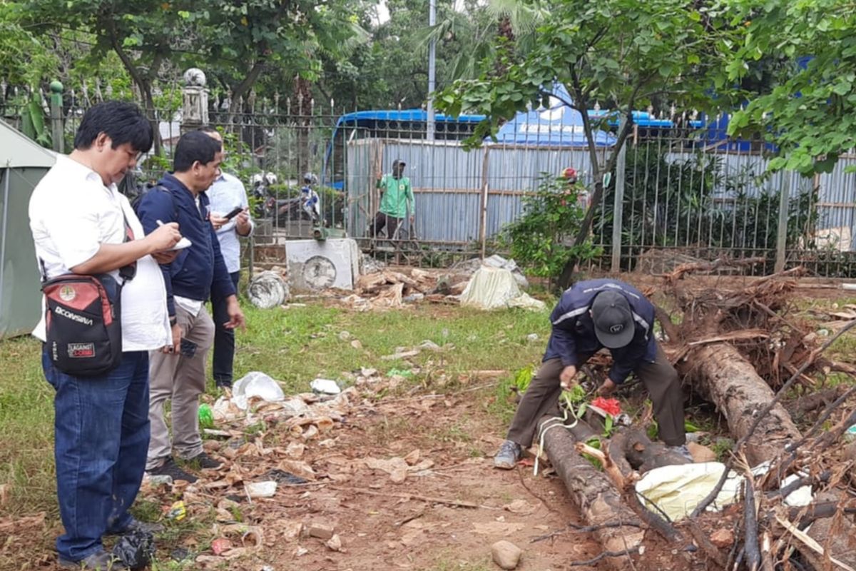 Tim asistensi Komisi Pengarah Pembangunan Kawasan Medan Merdeka mengambil sampel pohon di area revitalisasi Monas, Jakarta Pusat, Rabu (26/2/2020).