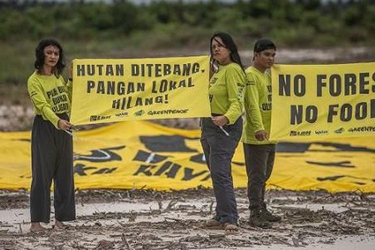 Aktivis lingkungan Greenpeace Indonesia mendesak food estate yang membuka tutupan hutan dihentikan.