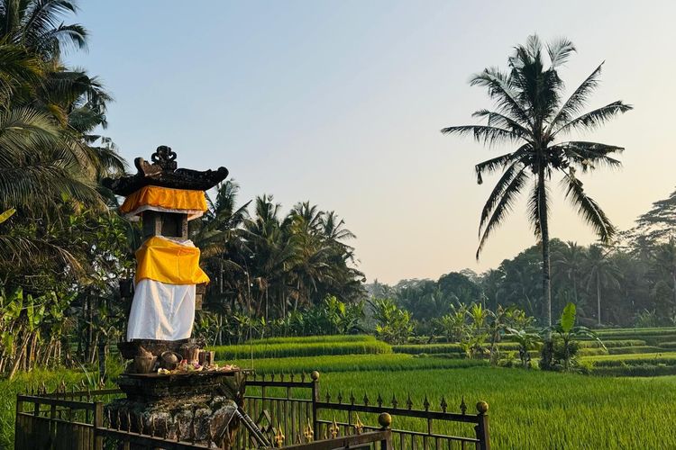 Liburan Tiga Hari di Ubud dan Seni Menikmati Hidup Tanpa Tergesa