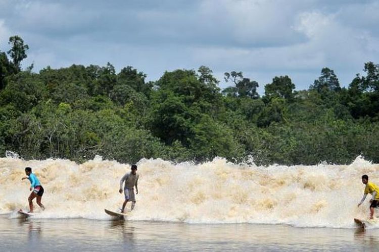 Ombak Bono di Sungai Kampar, Riau. Berselancar di sungai ini sangat menantang.