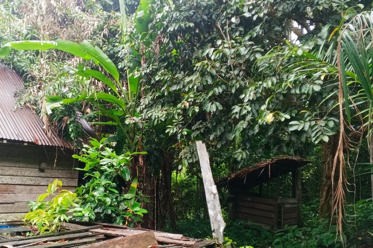 Pondok milik keluarga Dewi Salma di tengah hutan yang sebenarnya merupakan Bawas atau ladang yang sudah ditinggalkan selama sekitar tiga tahun. Bawas tersebut terletak di Desa Kenanga, Kecamatan Simpang Hulu, Kabupaten Ketapang, Kalimantan Barat.