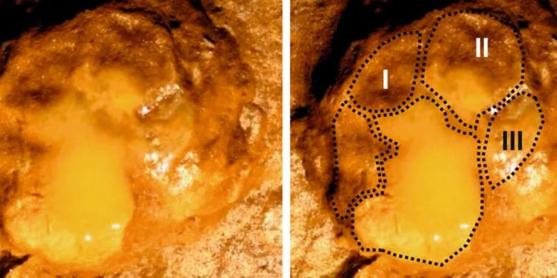 Jejak kaki bayi gajah prasejarah ditemukan di wilayah Spanyol